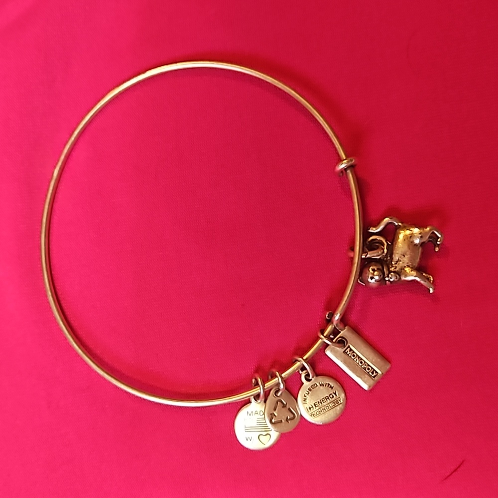 Alex and Ani bracelet